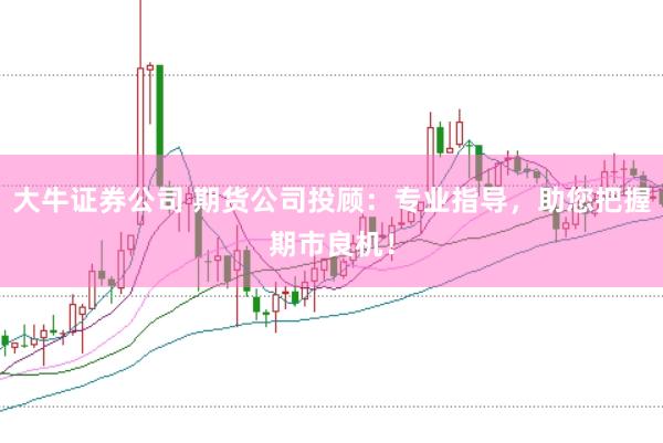 大牛证券公司 期货公司投顾：专业指导，助您把握期市良机！